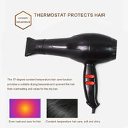 Display of the black professional hair dryer's various attachments and features.
