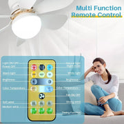A white ceiling fan with light is in the background, with an overlay detailing the functions of the remote control.