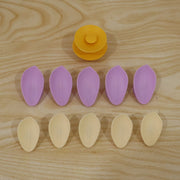 Ten individual petals, five purple and five yellow, arranged in two rows with a yellow flower center on a light wooden