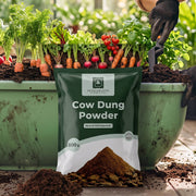 A dark green bag of 
