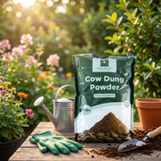 A dark green bag of 