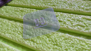 A clear self-adhesive wall hook with two prongs rests on a textured light green surface, possibly a cleaning pad.