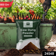 A dark green bag of 